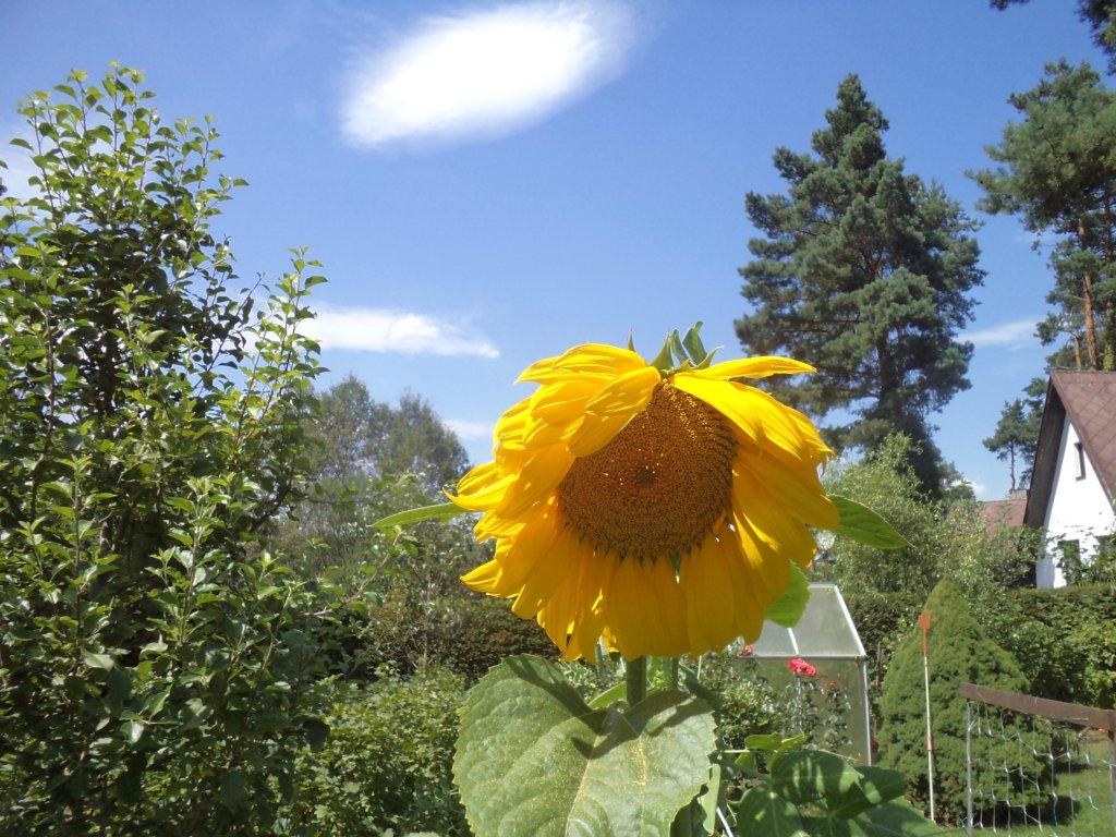 Hradec u Stodu (chat.os.Babylon)